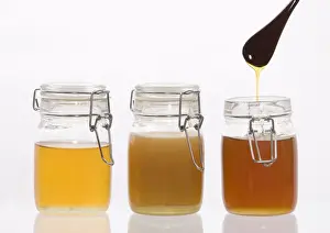 Honey Prints: Honey - in jars in studio