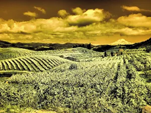 Oregon Gallery: Hood River Valley, Mount Rainier