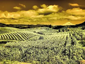 Oregon Prints: Hood River Valley, Mount Rainier. Date: 22-04-2021