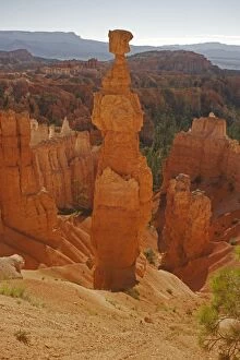 Images Dated 12th August 2010: Hoodoos - occur in Claron formation containing limestone - siltstone - dolomite - mustone - Bryce
