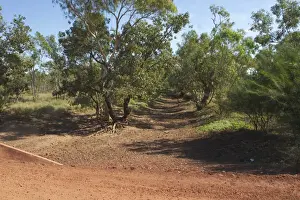 Hooker River at Lajamanu on the northern edge of the Tanami Desert. Photographed in June during the dry season. This picture corresponds with Hooker River wet season 1