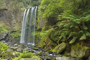 Hopetoun Falls - beautiful and picturesque waterfall creating a shallow river amidst lush temperate rainforest with a lot of treefern growing along the river's banks - Otways Range, Victoria, Australia