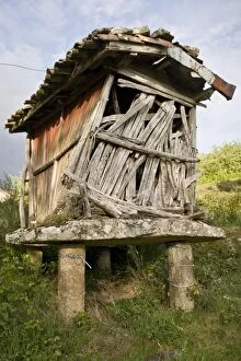 Horreo / Granary traditional granary