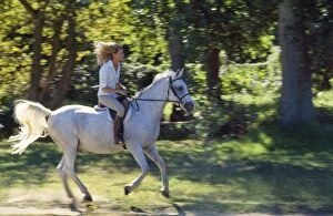 Horse - galloping