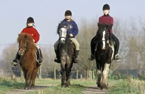 Exercising Gallery: HORSE - Girls riding ponies