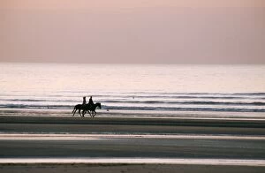 Seascapes Collection: Horse Horseback riding on beach by sunset, Deauville, France