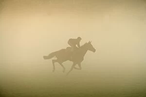 Horse - racing on misty morning