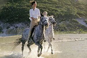 Exercising Gallery: Horse riders on lagoon