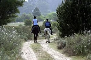 Images Dated 28th October 2003: Horse riding - horse riders on country track