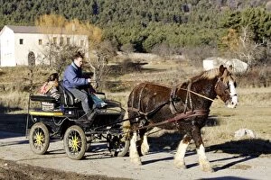 Breton Gallery: Horse - Trait Breton - pulling cart and people