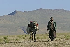 Images Dated 14th August 2005: Horseman in Tso Kar basin