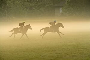 Horses - two racing on misty morning