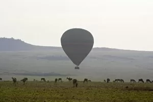 Images Dated 3rd October 2007: Hot Air Balloon flying over plains during early morning (with Topi in foreground)