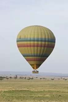 Images Dated 2nd October 2007: Hot Air Balloon flying over plains during early morning