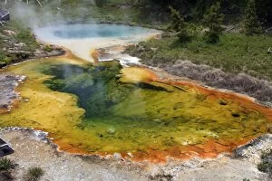 Images Dated 6th June 2013: Hot Springs - at West Thumb Geyser Basin Yellowstone