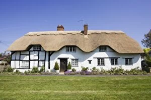 Thatch Collection: House - Newly thatched 16th century black and white half timbered cottage near Stratford upon Avon