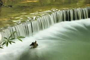 Waterfalls Prints: Huay Mae Kamin waterfall Kheaun Sri Nakarin N. P. Kanchanaburi province, Thailand