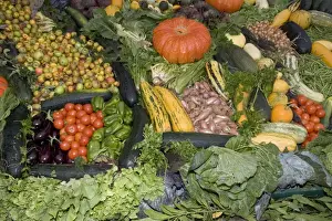 Harvests Prints: Huge fruit and vegetable display