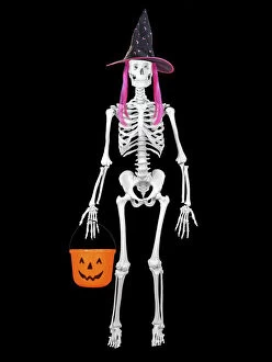 Human Skeleton with Halloween props