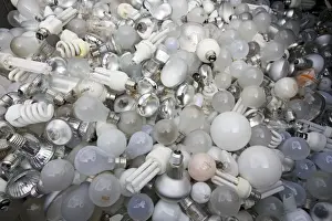 Recycling Prints: Hundreds of used light bulbs and low energy lamps in recycling bin Cory Environmental landfill site Gloucestershire UK