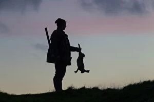 Images Dated 8th November 2014: Hunter hare Hunter with dead brown Hare silhouetted agai