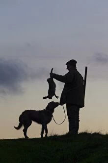 Images Dated 8th November 2014: Hunter hare Hunter with dead brown Hare and Weimaraner d
