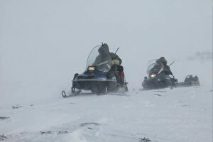 Blizzard Gallery: Hunters - on snowmobiles, tracking polar bear through