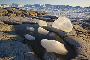 Iceberg Gallery: Ice chunks and large icebergs at midnight