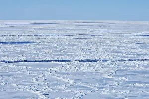 Images Dated 10th March 2008: Ice Floe Magdalen islands Canada