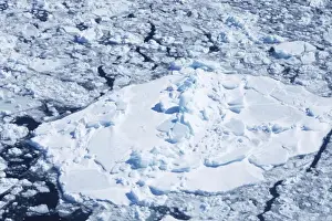 Ice Floe Magdalen Islands Canada