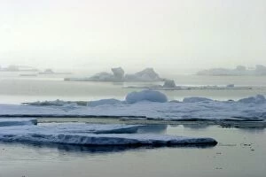 Images Dated 26th August 2003: Ice floe - in mist North Svalbard, Spitzbergen, Norway