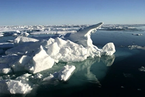 Images Dated 27th August 2003: Ice Floe North Svalbard, Spitzbergen, Norway