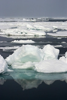 Images Dated 26th August 2003: Ice Floe North Svalbard, Spitzbergen, Norway
