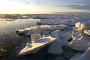 Images Dated 27th August 2003: Ice Floe North Svalbard, Spitzbergen, Norway