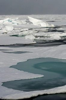 Images Dated 26th August 2003: Ice Floe North Svalbard, Spitzbergen, Norway