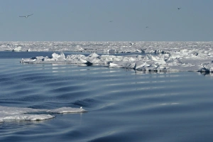 Images Dated 27th August 2003: Ice floe North Svalbard, Spitzbergen, Norway