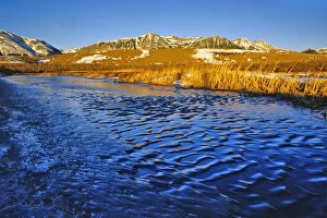 Ice Ripples on pond in Waterton Lakes National