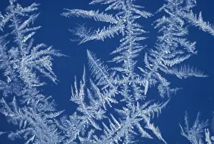 Ice on window