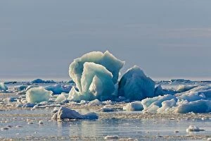 Images Dated 10th August 2012: Iceberg