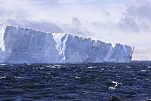 Images Dated 23rd January 2008: Iceberg in antarctica sound - Antarctica