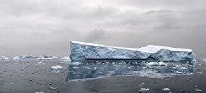 Iceberg floating in the sea