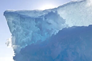 Daisy Gallery: Iceberg Ittoqqortoormiit, Scoresby sound