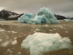 Images Dated 6th February 2009: Iceberg - Liefdefjorden - Svalbard - Norway