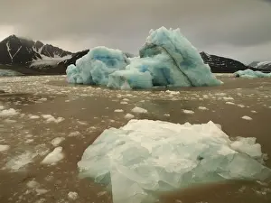 Iceberg - Liefdefjorden - Svalbard - Norway