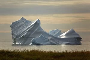 Iceberg melting iceberg drifting Arctic ocean Summer