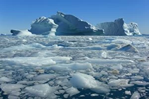Iceberg melting iceberg and sea ice drifting