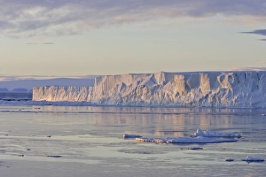 Images Dated 23rd October 2006: Icebergs - Antarctic