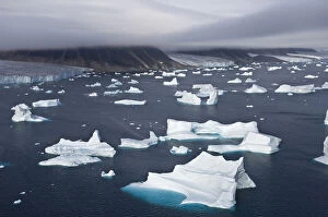 Danish Gallery: Icebergs, Cape York, Greenland