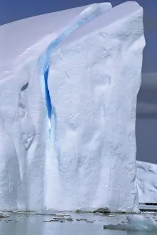 Icebergs in Girard Bay, South end of Lemaire Channel Antarctic Peninsula, December JPF42850
