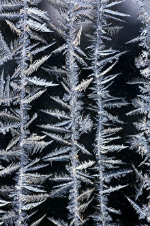 Patterns Collection: Iceflower - frostflower on glass window